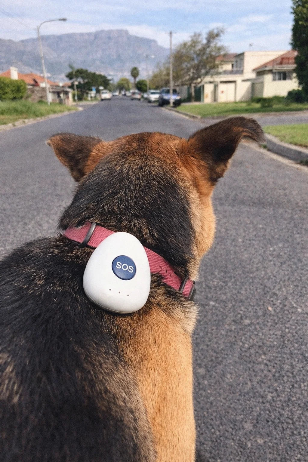 4-in-1 Smart GPS Tracker